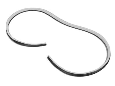 Dodge Magnum Door Seal - UW64DW1AD