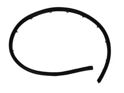 Mopar 55394042AC Seal Front Door