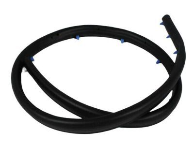 Mopar 55394042AC Seal Front Door