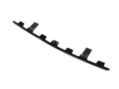 Chrysler 68206039AA Lower Molding