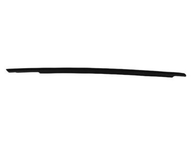 Dodge 57010348AA WEATHERSTRIP Front Door Belt Outer
