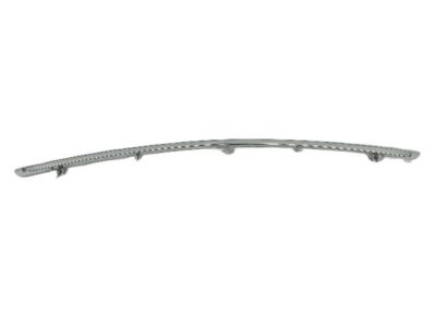 Dodge 68089170AA APPLIQUE Fascia