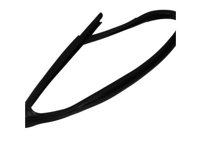 Mopar 5074004AG Weatherstrip, Front Door Belt