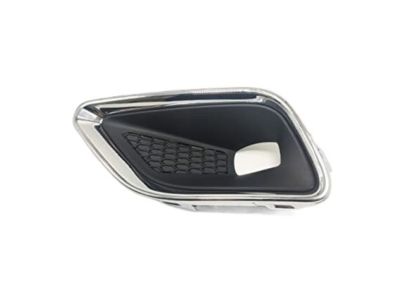 Jeep 68287999AA Lamp Cover