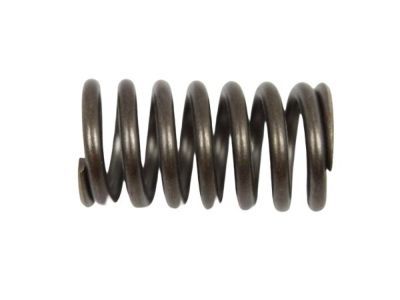 Ram 52119702AA SPRING Accumulator