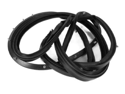 Chrysler 68039974AH Surround Weatherstrip