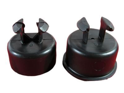 Dodge 55276076AC BUSHING Tailgate Pivot