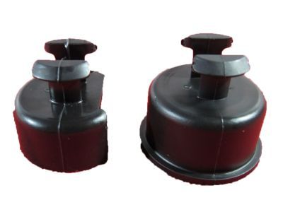 Dodge 55276076AC BUSHING Tailgate Pivot