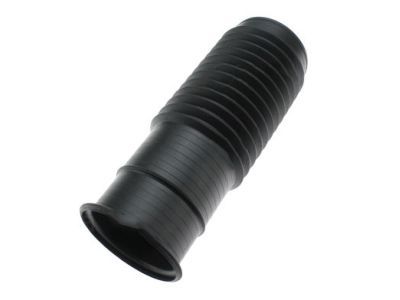 Jeep 68029522AC Dust Shield