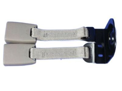 Dodge Durango Seat Belt - 1BF021J3AC