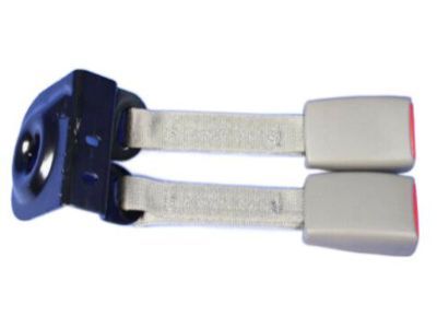 Dodge Durango Seat Belt - 1BF021J3AC