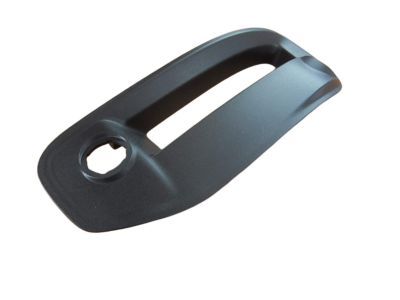 Ram 68312234AB Fog Lamp Bezel