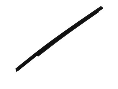 Mopar 5076858AE Molding Rear Door