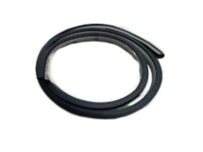 Chrysler Sebring Door Seal - UJ31XXXAG