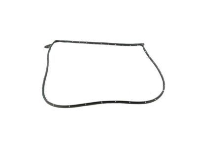 Ram 55112357AF WEATHERSTRIP Front Door Mounted