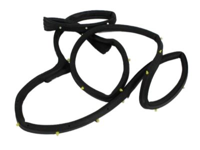 Dodge Magnum Door Seal - 5065990AE