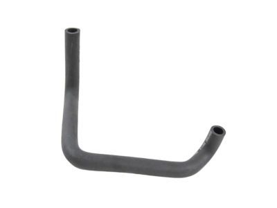 Jeep 4854195AC HOSE Leak Detection Pump to Canister