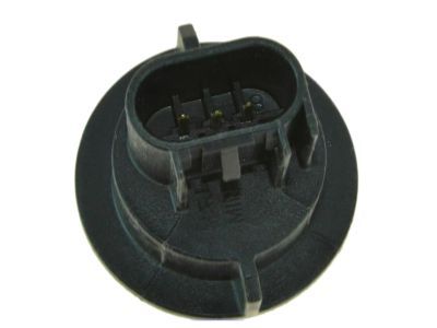 Jeep 68191950AA SOCKET Park And Turn Signal