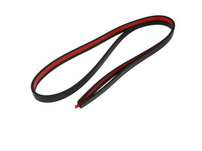 Mopar 5113661AA Molding Roof