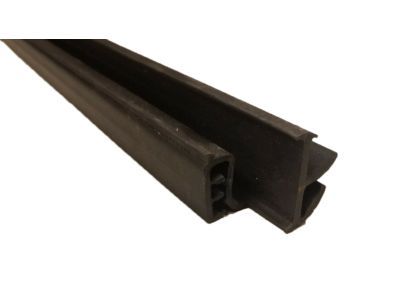 Chrysler Town & Country Door Seal - 4894975AA