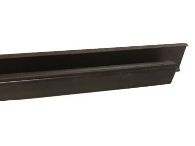 Chrysler Town & Country Door Seal - 4894975AA
