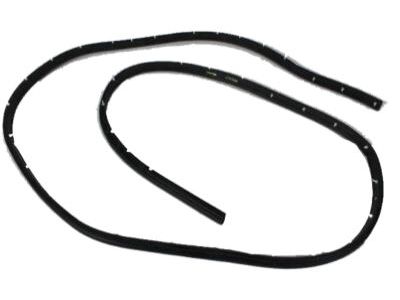 Dodge B3500 Door Seal - 4217552