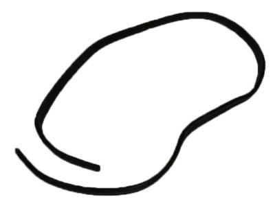 2023 Dodge Challenger Weather Strip - 4575880AD