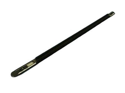 Dodge Magnum Door Seal - 4806000AF