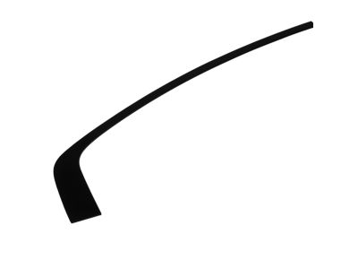 Mopar 57010506AE Molding Rear Door