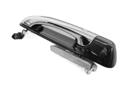Ram 1UJ881RPAE HANDLE Exterior Door