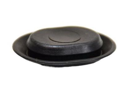 Mopar 5160283AA Sill Molding Plug
