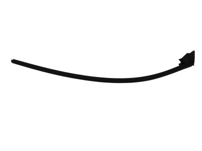 Mopar 4575884AD Weatherstrip, Front Door Belt