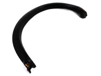 Ram 1TD44TZZAB MOLDING Wheel Opening Flare Rear