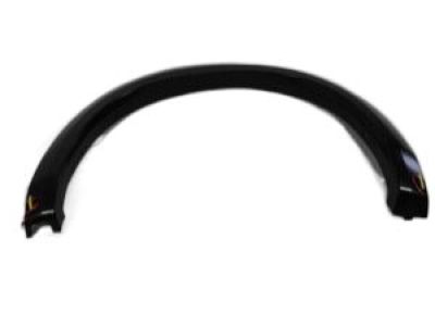 Ram 1TD44TZZAB MOLDING Wheel Opening Flare Rear