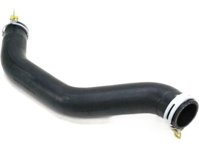 Mopar 52028827AD Hose Radiator Lower