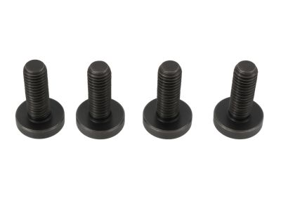 Mopar 68191255AA Screw Torx Head M6X1.00X20.00