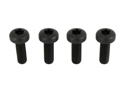 Mopar 68191255AA Screw Torx Head M6X1.00X20.00