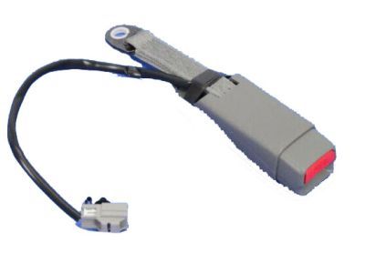 Ram 1WM991L1AC Outer Buckle