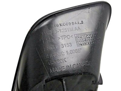Dodge 68100699AA Fog Lamp Bezel