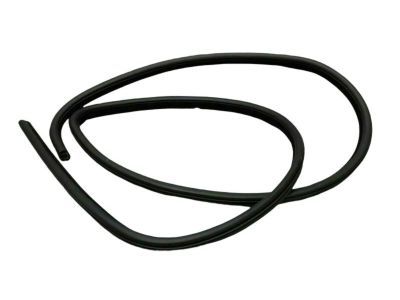 Dodge 1KW33DX9AH Surround Weatherstrip