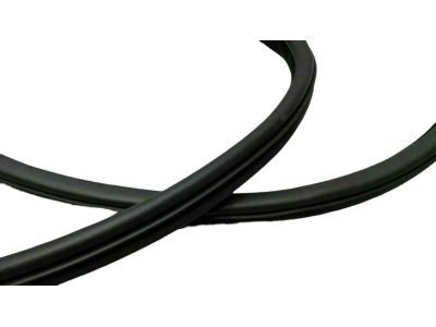 Dodge 1KW33DX9AH Surround Weatherstrip