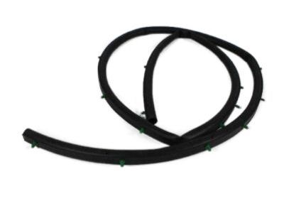 Mopar 68070493AA Seal Strip, Front