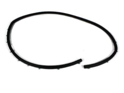 Mopar 68070493AA Seal Strip, Front