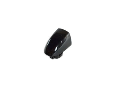Mopar 1YB53LXTAB Cap Door Handle 1YB53LXTAB Mopar Cap Door Handle Product Photo 1 of 3