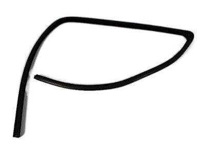 Dodge 55276181AG SEAL Glass Run Front