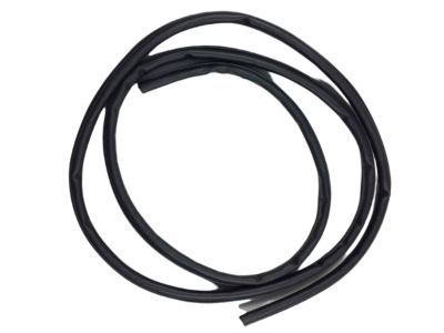 Dodge 55255486AE Weatherstrip