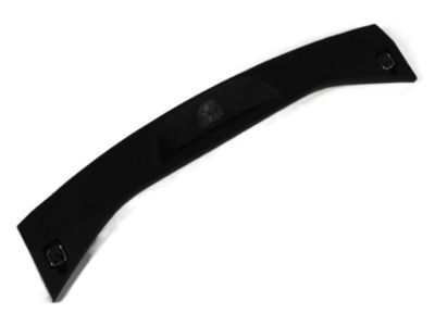 Mopar 1GG75DX9AF Scuff Plate, Black, Rear