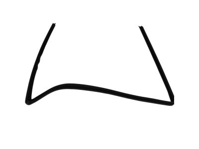 Mopar 55399169AE Weatherstrip Front Door Glass Running