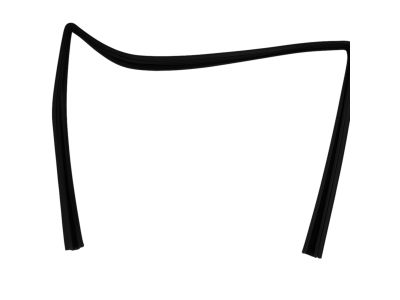 Mopar 55399169AE Weatherstrip Front Door Glass Running
