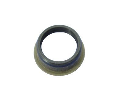 Ram 4799964AD Filter O-Ring